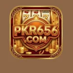 PKR656 Game Download Pakistan’s Real Money Earning App 2026 V9 game