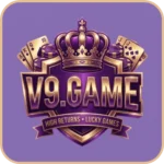 V9 game